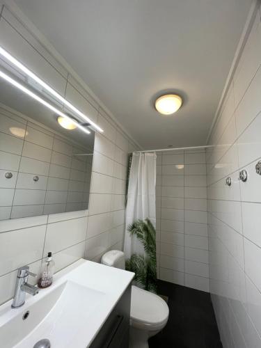 克里斯蒂安桑Kristiansand, Bystranda 59m2, 2 soverom, 6 senger的一间带水槽、卫生间和镜子的浴室