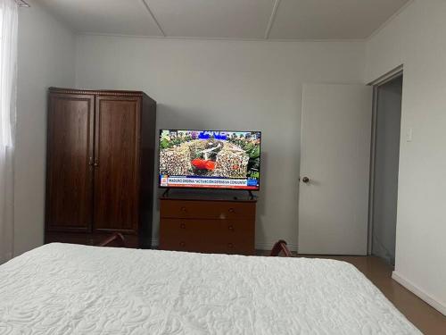 安托法加斯塔Casa Central, Amplia y Cómoda的一间卧室配有一张床和一台平面电视