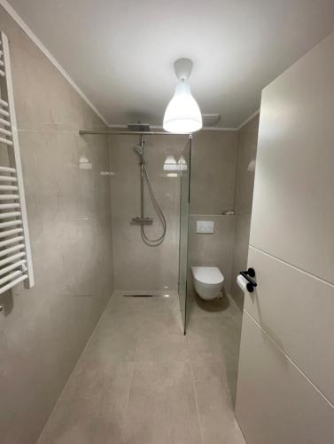 维也纳附近格拉斯多夫Fancy Big Apartment的带淋浴、卫生间和灯的浴室