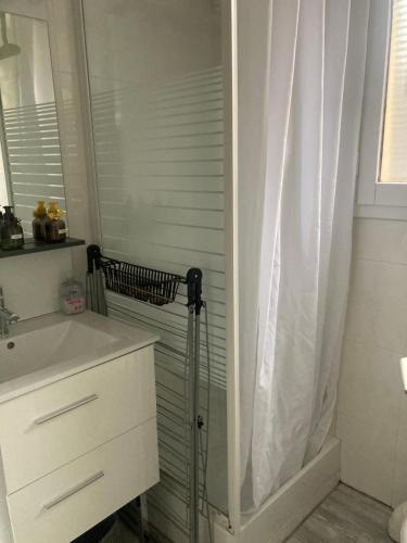 阿雷斯Appartement duplex lumineux idéalement situé的浴室配有淋浴帘和盥洗盆。