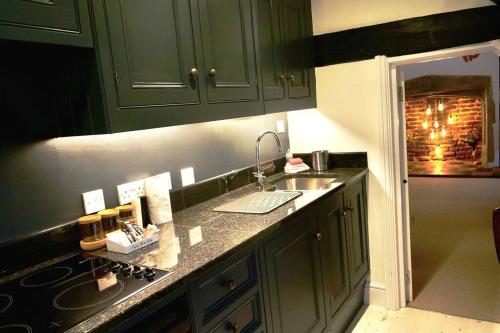 温莎Epic Location, Views & Large Private Terrace的厨房配有绿色橱柜和水槽