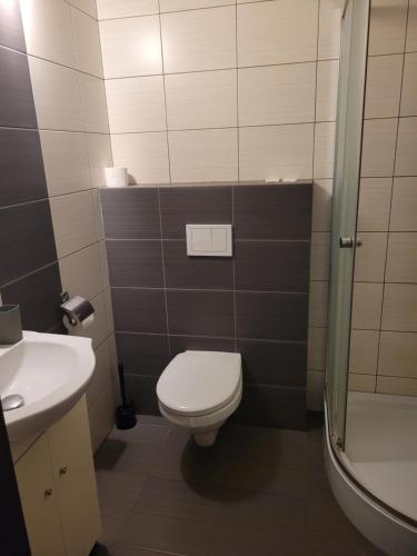 CiągowiceGangnam Hotel的浴室配有卫生间、盥洗盆和淋浴。