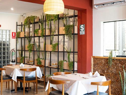 塔拉拉Rua Hoteles Talara的餐厅墙上挂着桌椅和植物