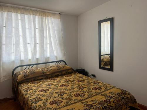 马尼萨莱斯Bhospedaje的一间卧室配有一张床,窗户配有毯子