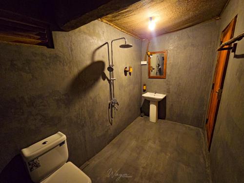 达瓦拉维Wild Safari Clay House的一间带卫生间和水槽的浴室