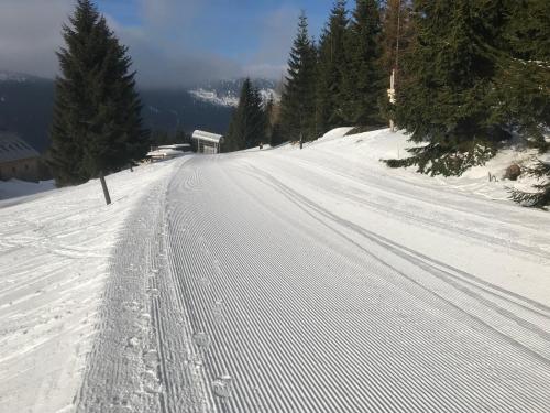 霍尔尼米瑟克基chata Školička的雪地覆盖着一条雪地的小路