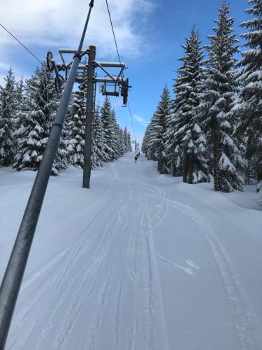 霍尔尼米瑟克基chata Školička的雪中雪覆盖着雪覆盖的树木的滑雪缆车