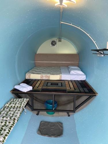 金马仑高原Cameron Highlands Blueberry Earth House的小房间设有一张床和一张桌子