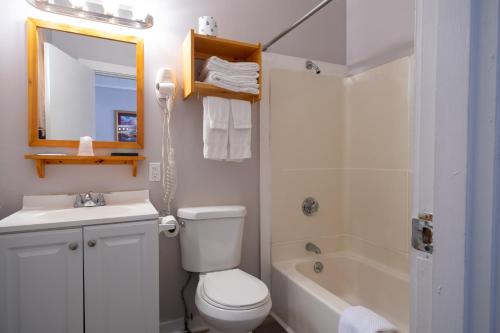 巴港Belle Isle Motel的浴室配有卫生间、盥洗盆和淋浴。