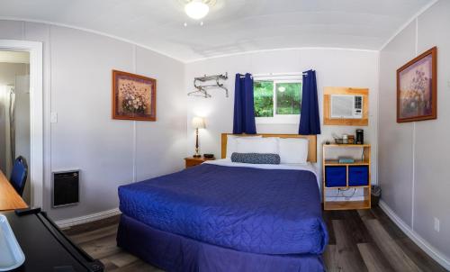 巴港Belle Isle Motel的一间卧室设有蓝色的床和窗户。