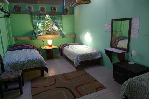 克鲁兹德华纳卡克斯特尔The Octopus's Garden Hostel的绿色客房 - 带两张床和镜子