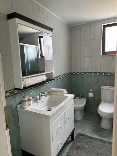 StalinAlbanian Gem in Kuçovë的一间带水槽、卫生间和镜子的浴室