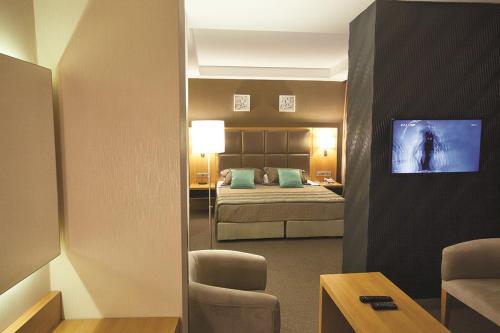 艾登Efeler Hotel的酒店客房,配有床和电视