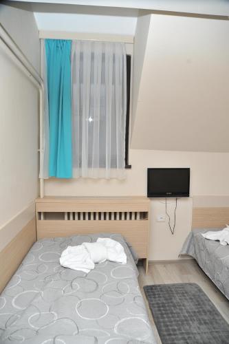 科帕奥尼克Hotel Srebrna lisica的一间小卧室,配有一张床和电视