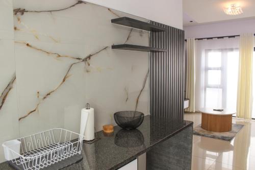 温特和克Deluxe Residence - Windhoek的厨房配有大理石墙台面