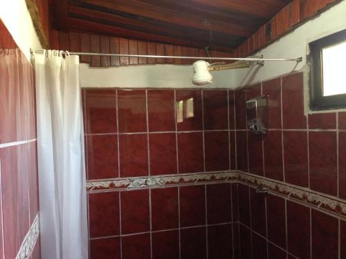 Santiago EsteEL-CACIQUE-guesthouse-since-2003的一间铺有红色瓷砖的淋浴浴室