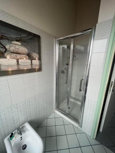 圣阿加塔-博洛涅塞La Divina的带淋浴和盥洗盆的浴室