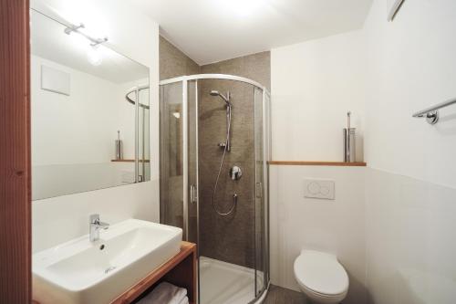 塞斯托Almrausch Apartments的带淋浴、盥洗盆和卫生间的浴室