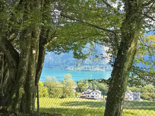 阿特湖畔翁特拉赫Countryhouse Lake Attersee - Sauna, Kamin, Seeblick的从树后可欣赏到湖泊景色