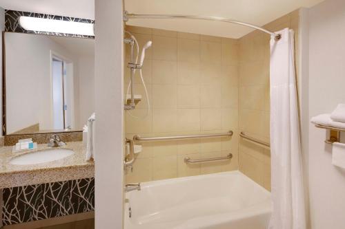 奥斯汀北奥斯丁希尔顿花园酒店的带浴缸和盥洗盆的浴室