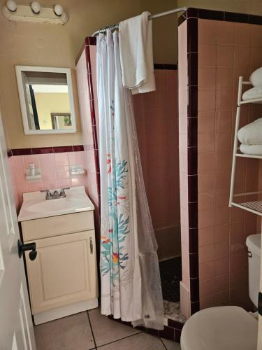 圣徒皮特海滩Oasis Palms Resort的浴室配有淋浴帘和盥洗盆。