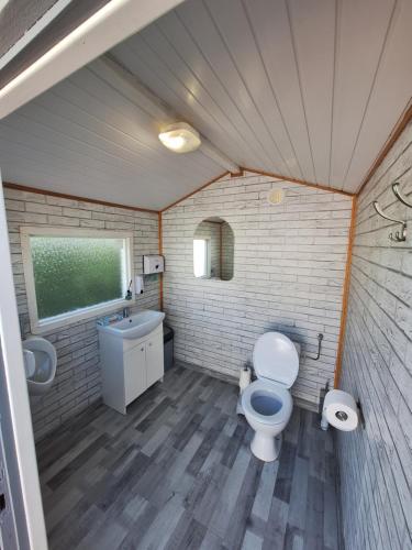 斯莫尔德兹诺Chillout的一间带卫生间和水槽的小浴室
