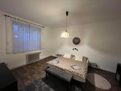 顺佩尔克TENNIS LIFE ŠUMPERK的一间卧室配有一张床、一张沙发和一个窗口