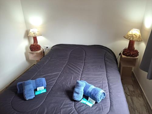 乌斯怀亚Cabaña SANTA MONTAÑA的一张带蓝色枕头的床和两盏灯