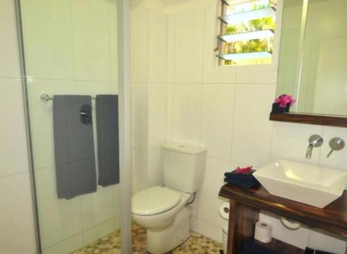 南迪Oasis Palms Hotel的一间带卫生间和水槽的浴室