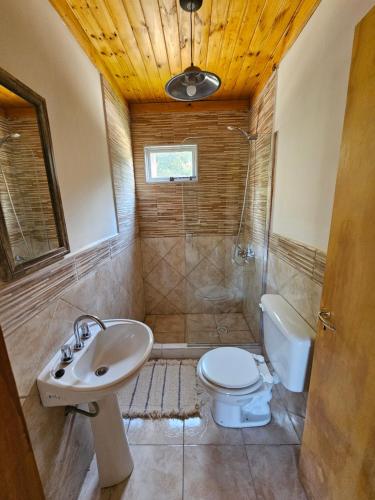 莫凯韦Cabañas Entre Cumbres的一间带水槽、卫生间和淋浴的浴室