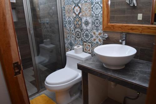 Ursulo GalvánEstancia Vacacional 20 Aguas的浴室配有卫生间、盥洗盆和淋浴。