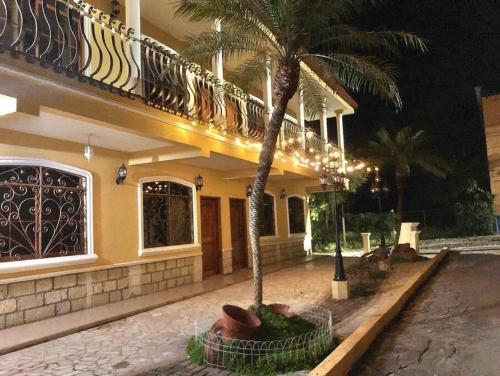 科潘玛雅遗址Hermoso Apartamento en Copan Ruinas的前面有棕榈树的房子