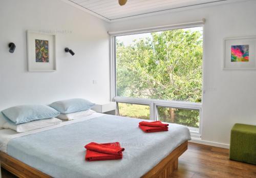 LatrobeShale Retreat River Escape的一间卧室设有一张床和一个大窗户