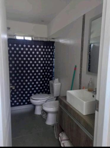 特立尼达岛Casa de Campo acogedora的一间带卫生间和水槽的浴室