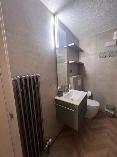 帕苏德尔托纳莱White Home Tonale的一间带水槽、卫生间和镜子的浴室