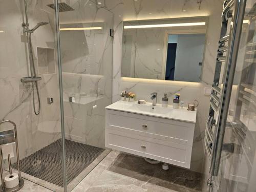 KäglingeUnic House feeling calmness in Malmo city的白色的浴室设有水槽和淋浴。
