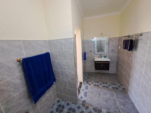 乌昆达Diamond Sands Villa的带淋浴和蓝色毛巾的浴室