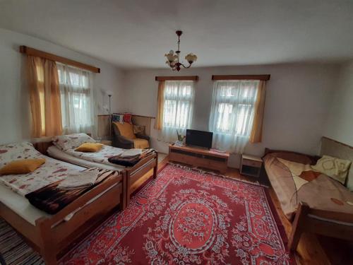 里梅泰亚Kerekes Vendégház的一间带两张床和一张沙发的客厅