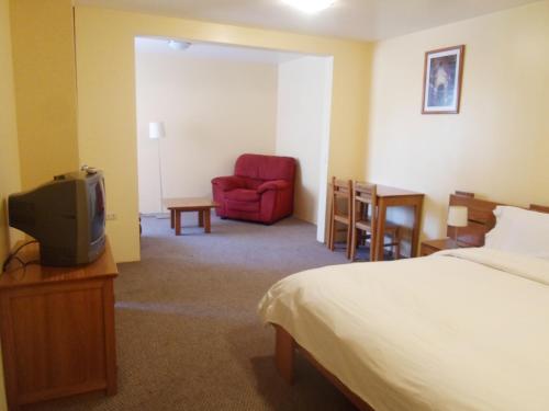阿雷基帕波萨达埃尔卡斯蒂洛酒店的酒店客房,配有一张床和一张红色椅子