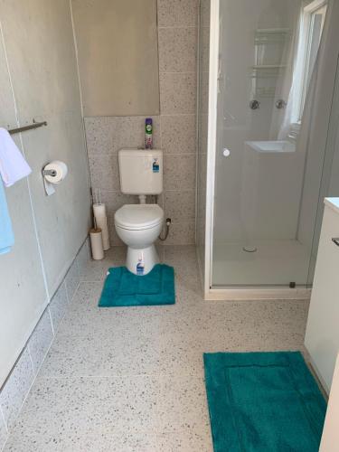 AlmadenAlmaden Country Rooms的浴室设有卫生间和带蓝色垫子的淋浴。