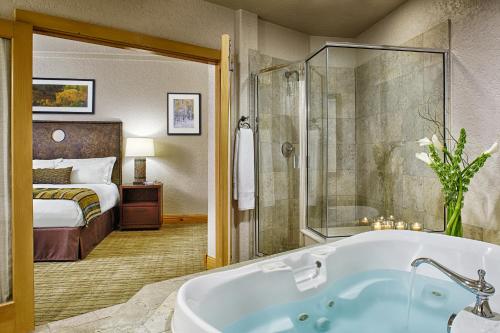特柳赖德费尔蒙赫利泰治普雷斯酒店（弗兰兹克兰姆尔小屋）的带浴缸的浴室和1间带1张床的卧室