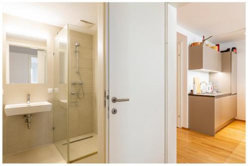 维也纳Rooms in Luxury Apartment, Central Vienna near Hauptbahnhof的带淋浴和盥洗盆的浴室
