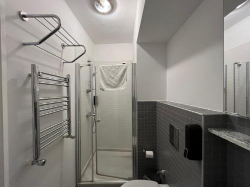 伊斯坦布尔Volga Rika Hotel的浴室设有玻璃淋浴间和卫生间