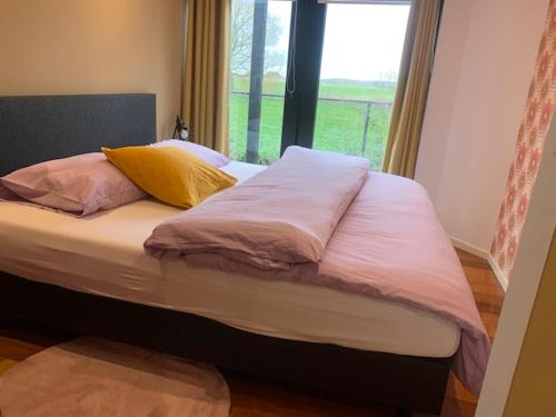 HerbaijumB&B NR6的一张带粉色和黄色枕头的床和窗户