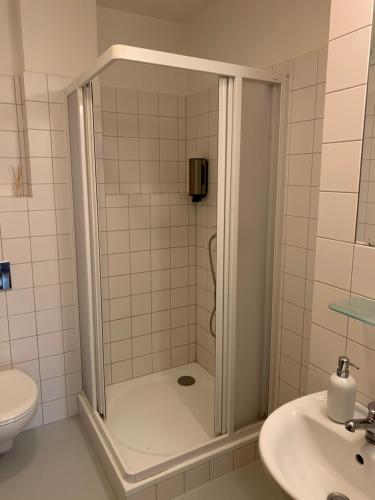 布尔诺Mitte Apartments的带淋浴的浴室(带盥洗盆和卫生间)