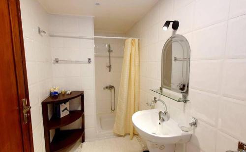 卢克索Dahabiya Queen Tyi II Nile Cruise的白色的浴室设有水槽和淋浴。