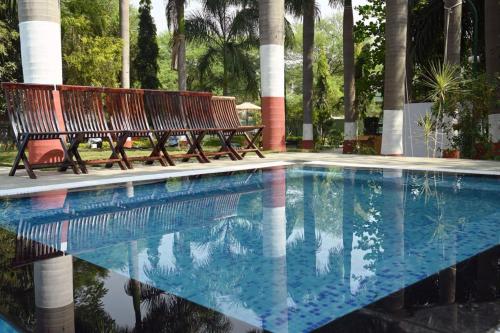 博帕尔The Whispering Palms Resort的游泳池旁的一排长椅