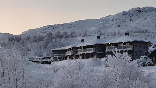 里克斯格伦森Katterjåkk Apartments的山前的积雪覆盖的建筑