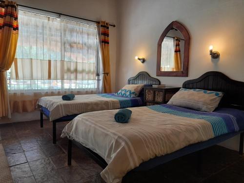 奥奇瓦龙戈Lion's Den Guesthouse Otjiwarongo的一间卧室设有两张床、镜子和窗户
