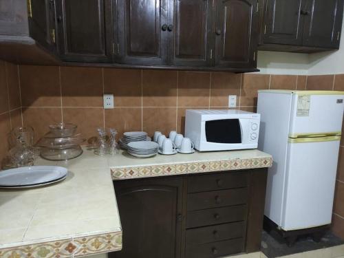 塔里哈Apartamento Maracuyá en Tarija的厨房柜台配有微波炉和冰箱。